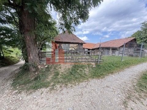 Teren intravilan 3.000 mp cu casă tradițională – Bran, sat Poarta - imaginea 3