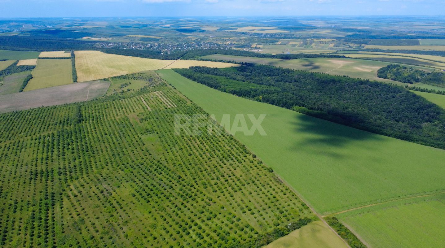 Teren Agricol, 11 HA, Bulăiești, Orhei - imaginea 6