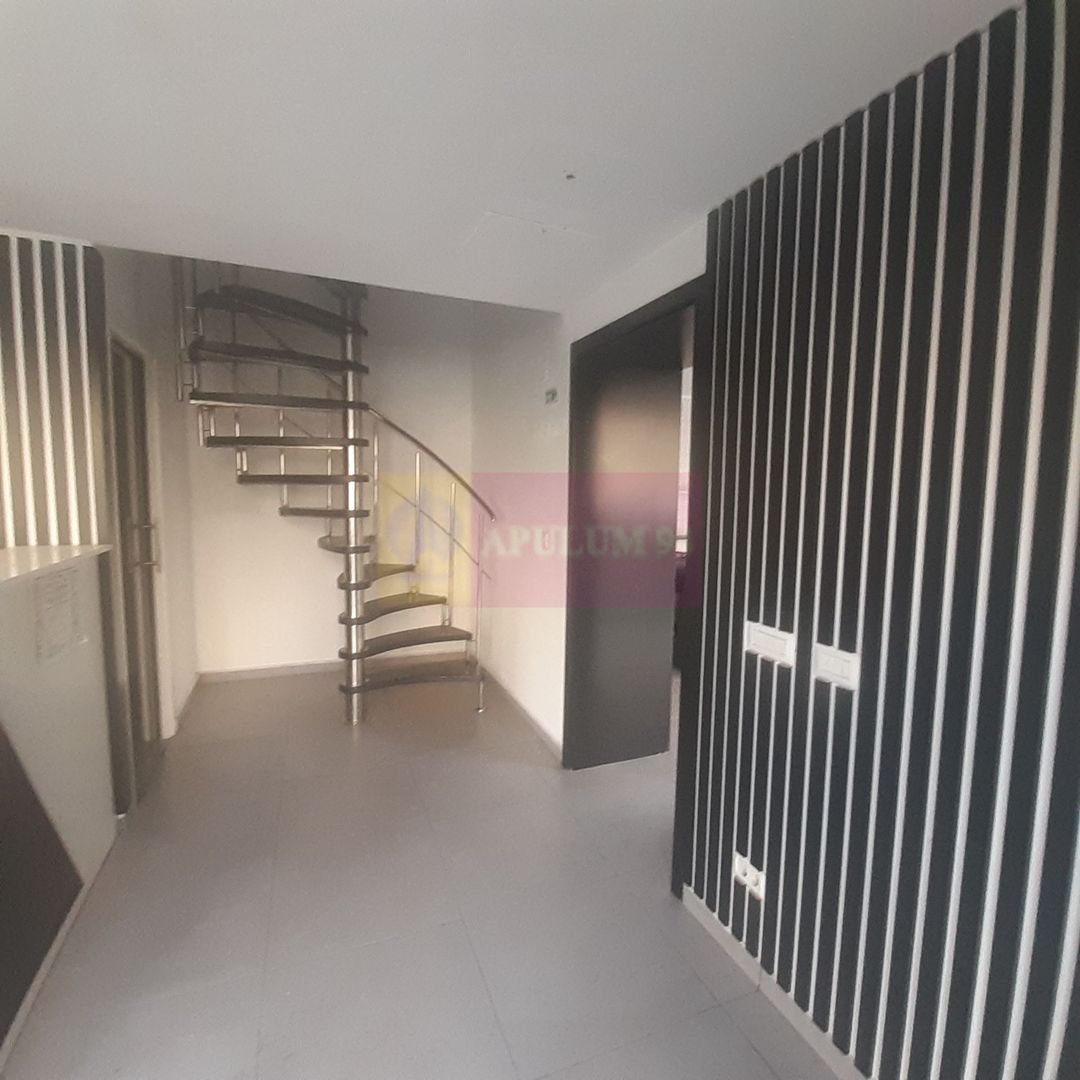 Spatiu Comercial Stradal Șoseaua Colentina zona Teiul Doamnei Suveica