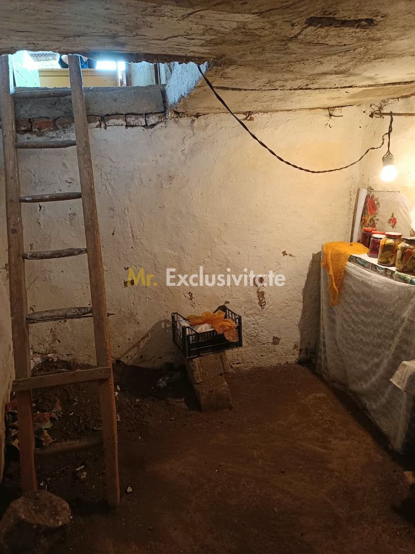 Casă tradițională cu teren de 4.400 mp în Vașad - imaginea 20