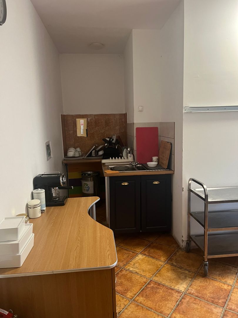 Imobil multifuncțional, 450 mp utili, teren 640 mp, Torontalului - imaginea 20