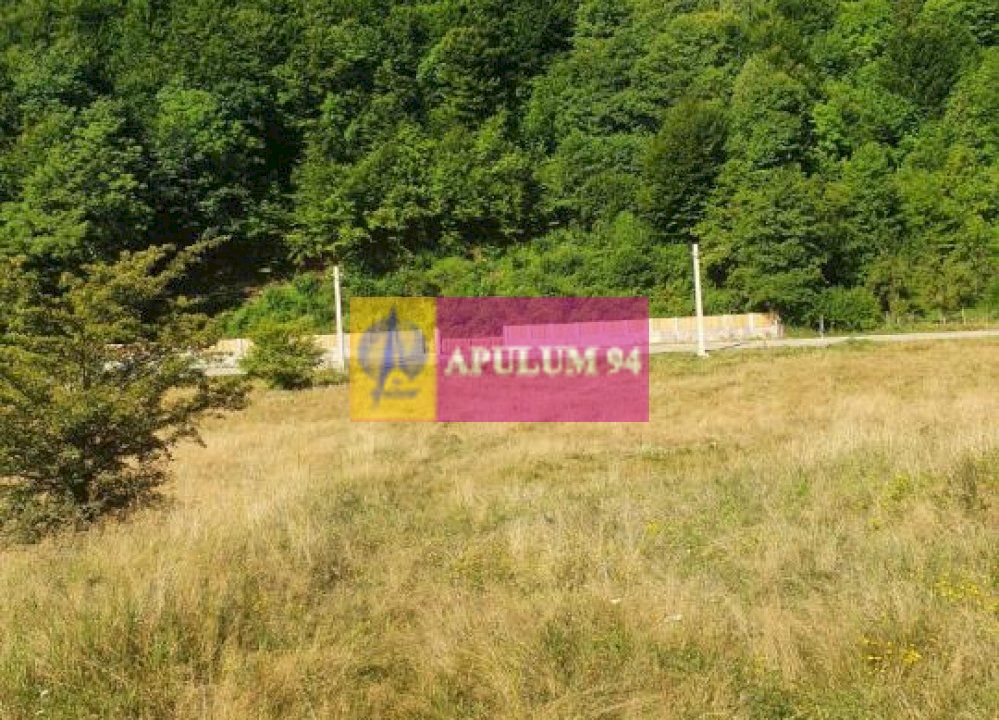 Teren Județul Vâlcea - Brezoi, Valea lui Stan