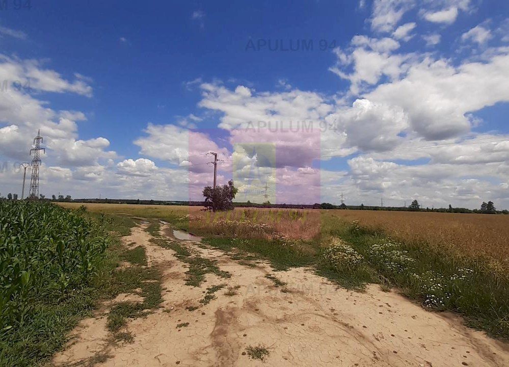 Teren 715mp în Snagov lângă Equestria - imaginea 45