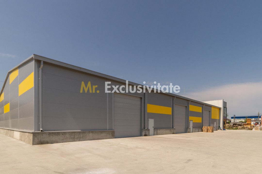 Inchiriere hala noua zona Bascov la DN 7C - imaginea 12