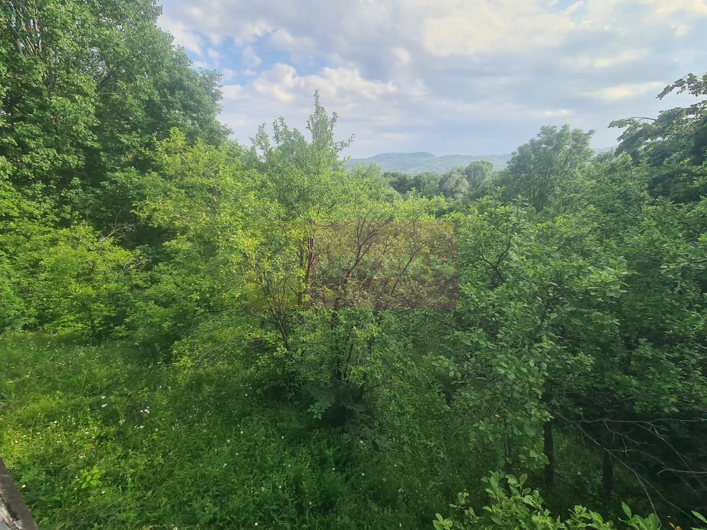 Vila de vanzare cu 6 camere in Cornu (teren 6.600 mp)