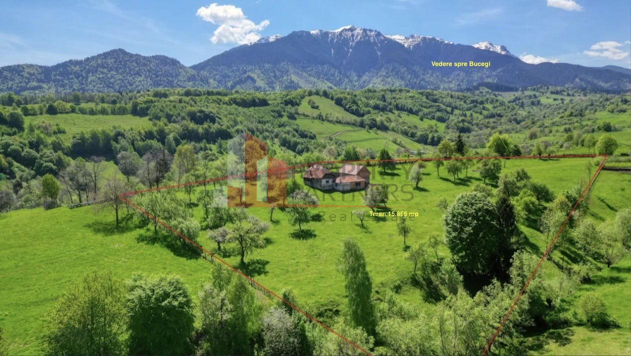 Teren 15.856 mp în Bran Sohodol | Ideal dezvoltare turistică - imaginea 2