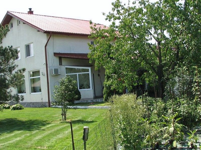 Ciopani vila 5 camere teren 4000 mp - imaginea 4