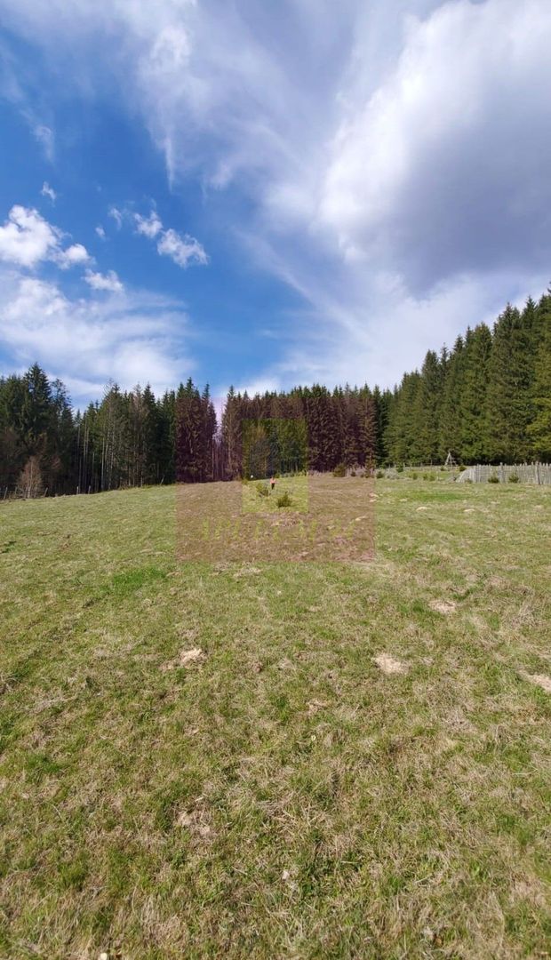 Teren intravilan 2500 mp in Valea Doftanei - imaginea 5