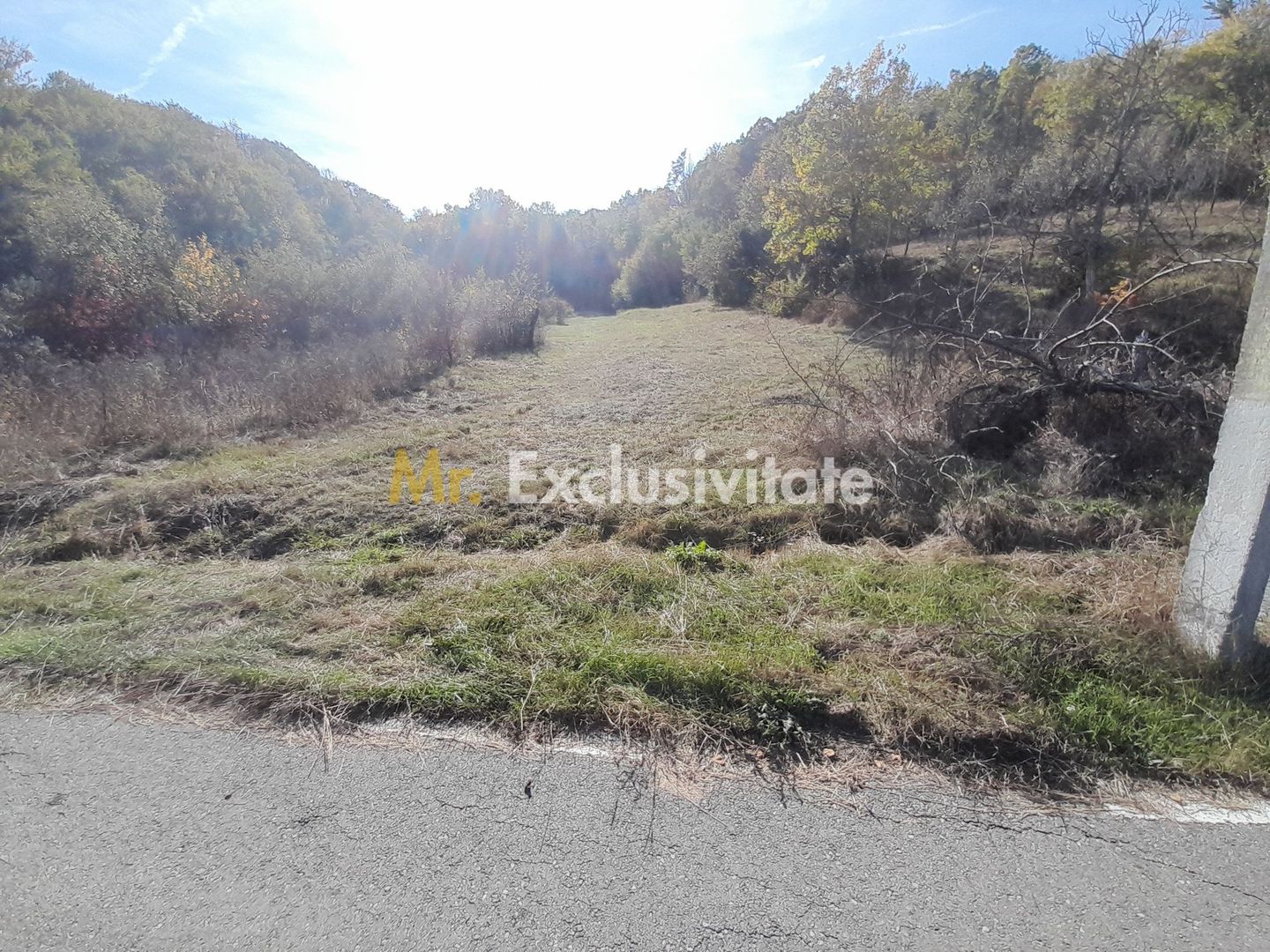 TEREN DE VANZARE IN BABANA, ARGES,  LANGA PADURE - imaginea 4