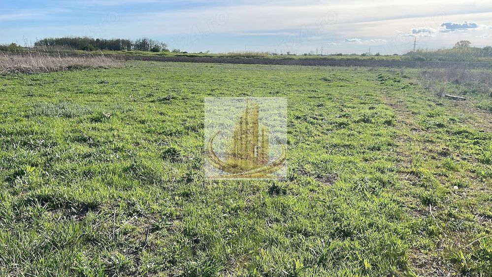 Teren de vânzare Ghiroda | 608 mp | Ideal casă individuală - imaginea 3