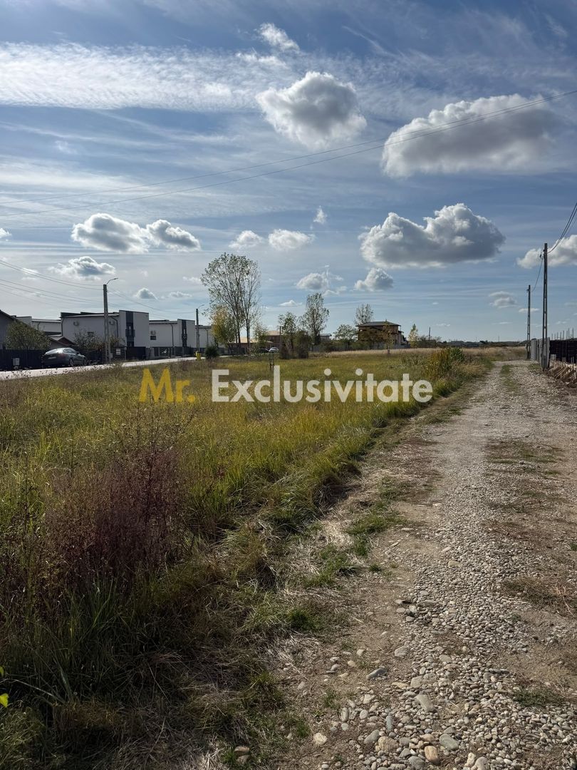 TEREN INTRAVILAN 3 LOTURI | 1.334 MP | BRADU | POTENȚIAL INVESTIȚIONAL - imaginea 4
