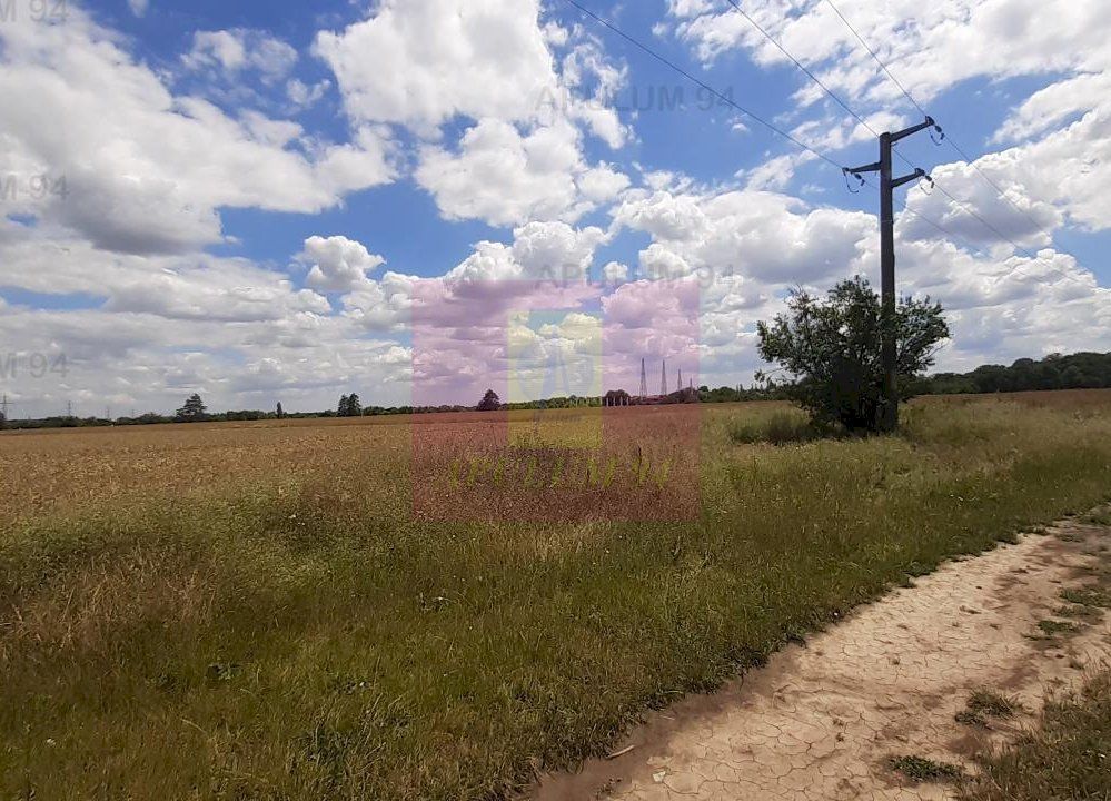 Teren 715mp în Snagov lângă Equestria - imaginea 39