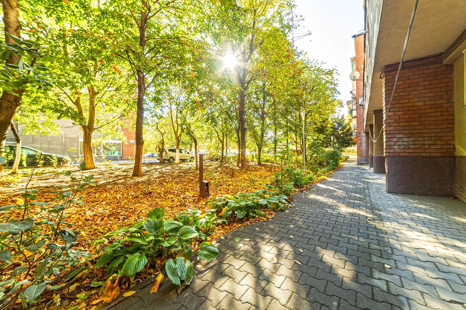 Imagine 7 - Apartament 3 camere - tip Samantha - etaj 1 - Polivalenta - COMISION 0
