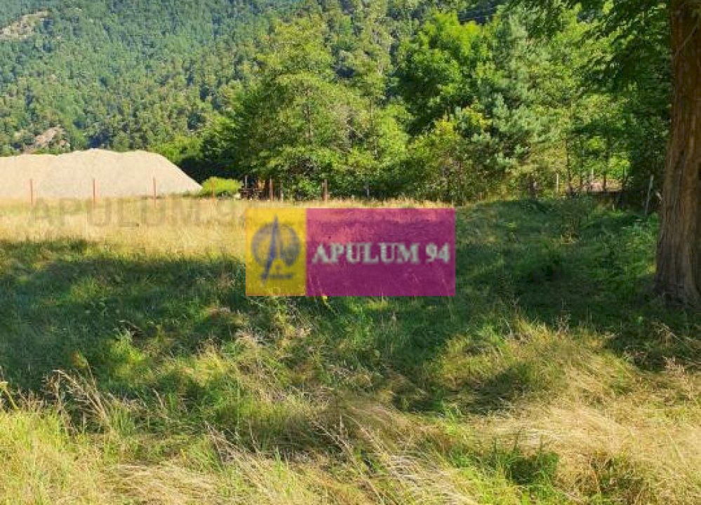 Teren Județul Vâlcea - Brezoi, Valea lui Stan