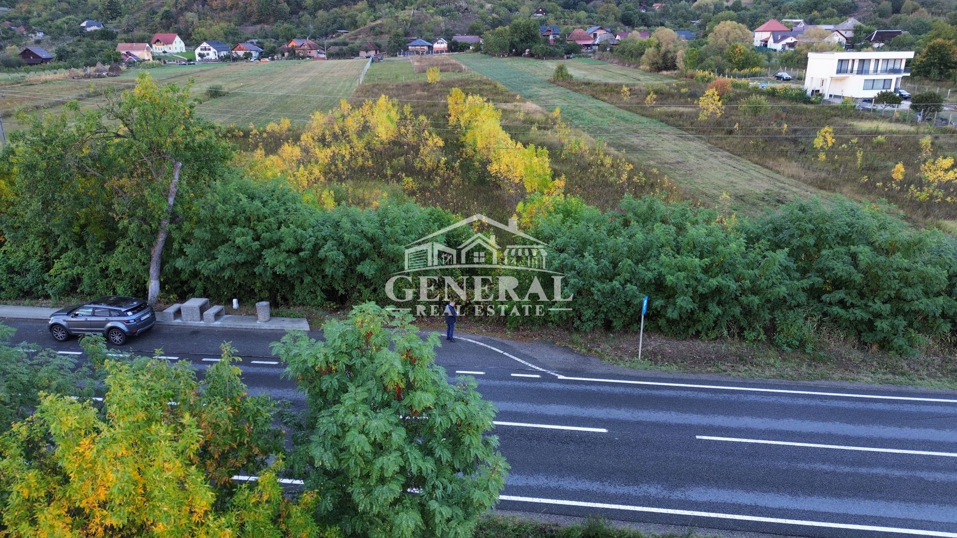Teren de vanzare 4.000m2 in Cicarlau la Drum European E58 BM-SM KM-15 - imaginea 3