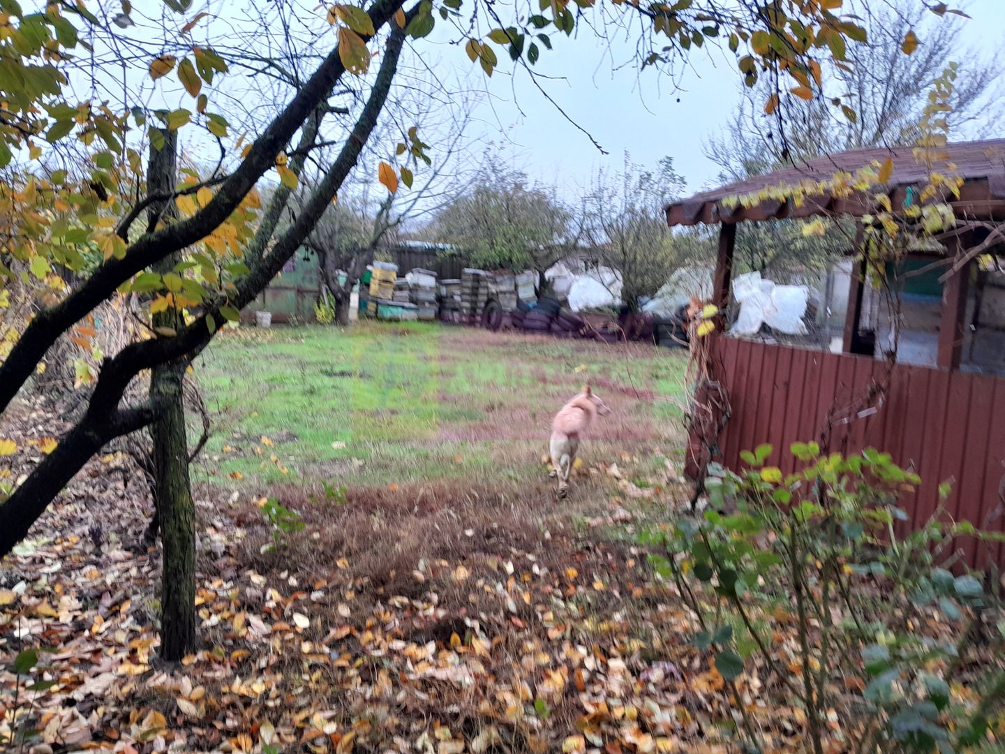DE VANZARE CASA IN COM. BRANESTI (IF)