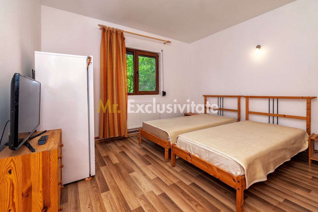 Casa moderna si casa bunicii + 6300 mp teren,Oaza autentica in Corbi Arges- - imaginea 14