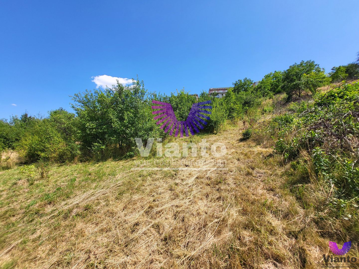 Teren Intravilan 546 mp | Panorama deosebita | PUZ in lucru