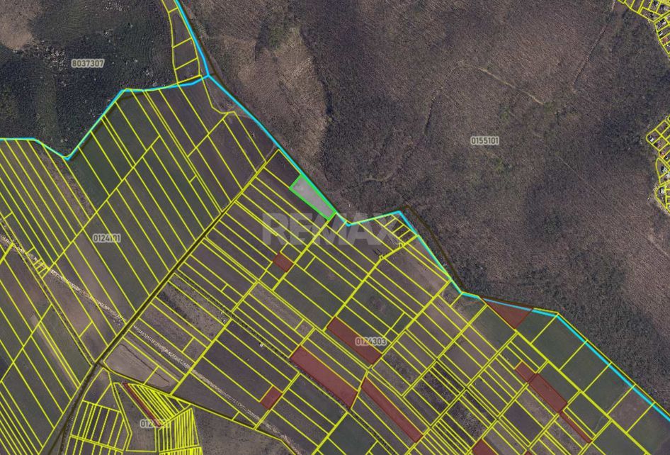 Teren 41,49 ari Ghidighici | deschidere 122 m | agricol | investiție