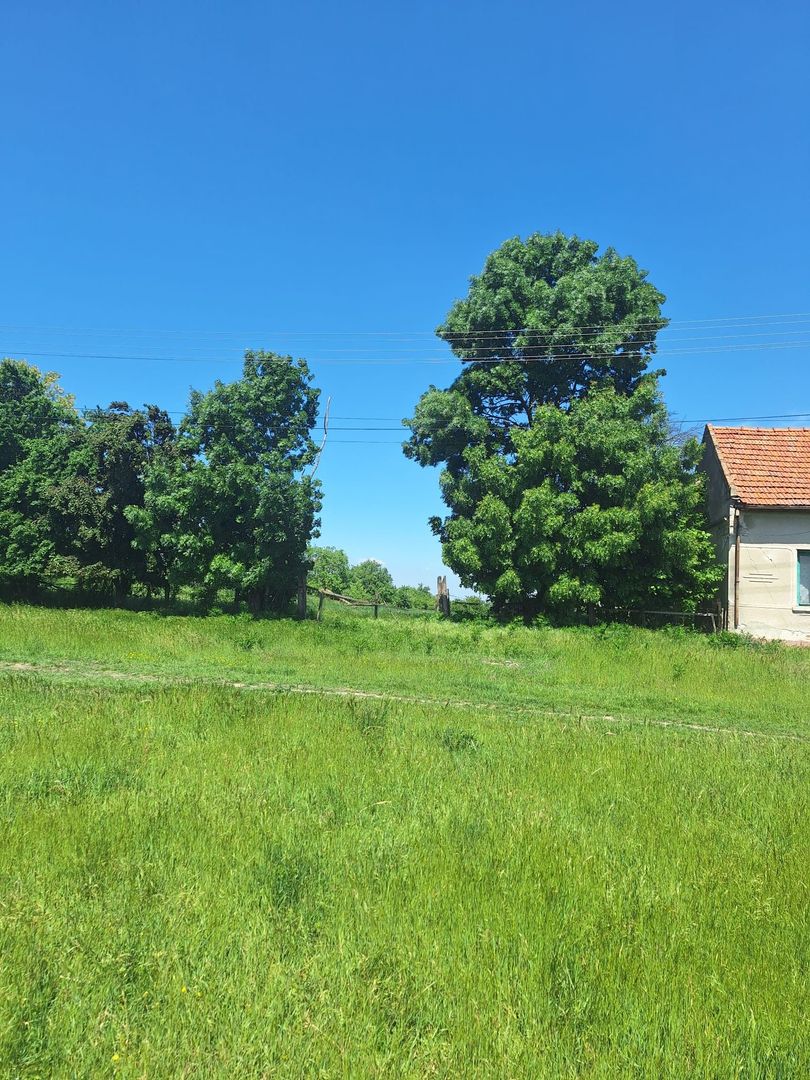 Teren vanzare-8000 m2-Cheveresu Mare -100 m front stradal - imaginea 4