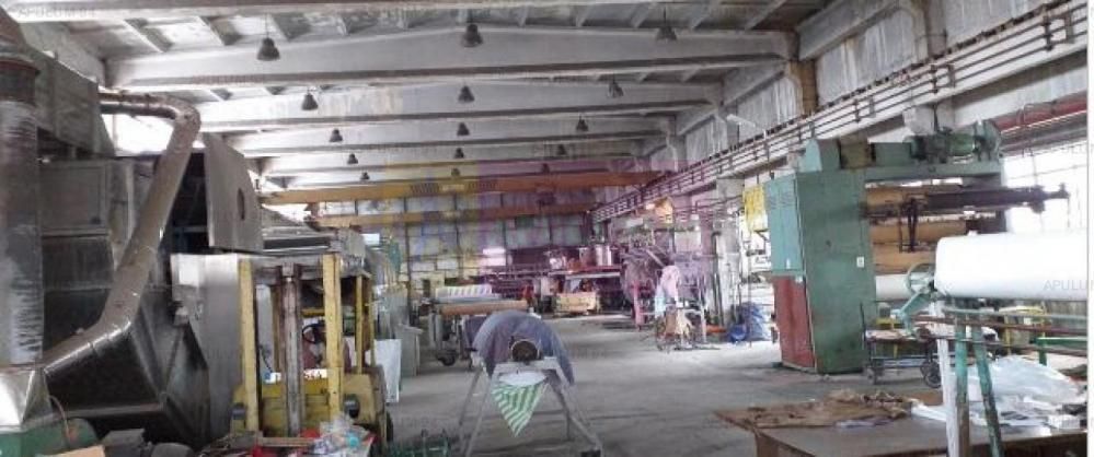 Hala productie 23 August.