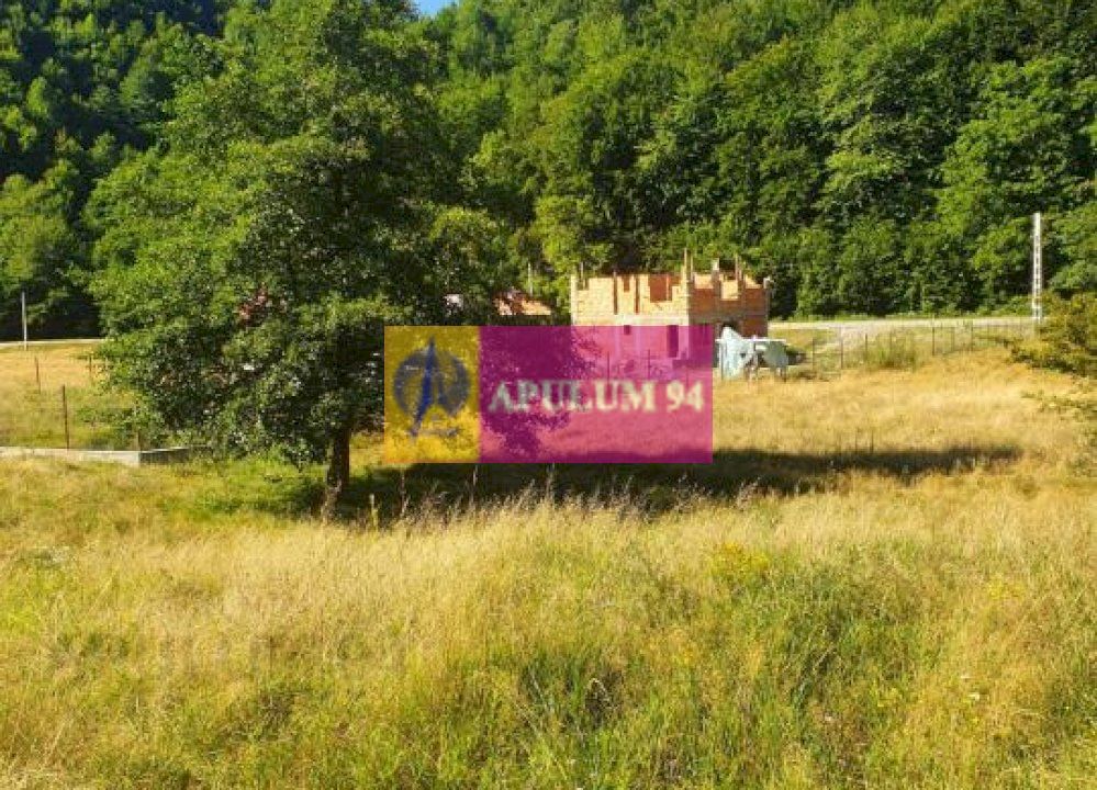 Teren Județul Vâlcea - Brezoi, Valea lui Stan