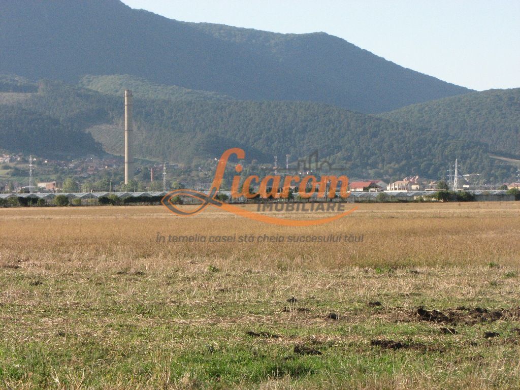 Codlea teren constructii industriale sau logistice 8 ha pana la 24 Ha - imaginea 10