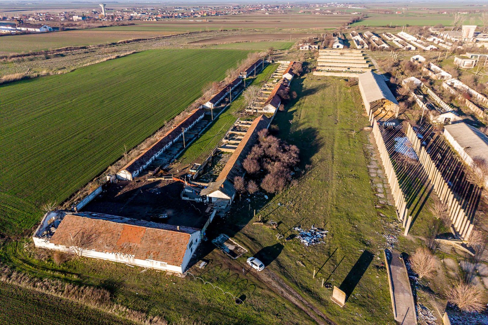 Imagine 5 - Teren 1.15 HA lângă Autostrada – Nădlac | clădiri+utilități