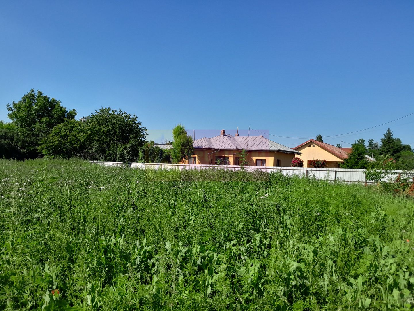 Movilita (IL)-teren de inch. 1800 mp stradal, 30 ml desch, langa Profi