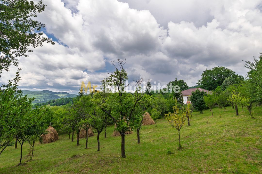 Casa moderna si casa bunicii + 6300 mp teren,Oaza autentica in Corbi Arges- - imaginea 17