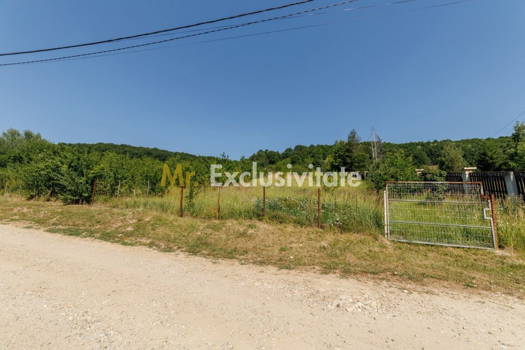 Teren intravilan Ștefănești Valea Mare Podgoria