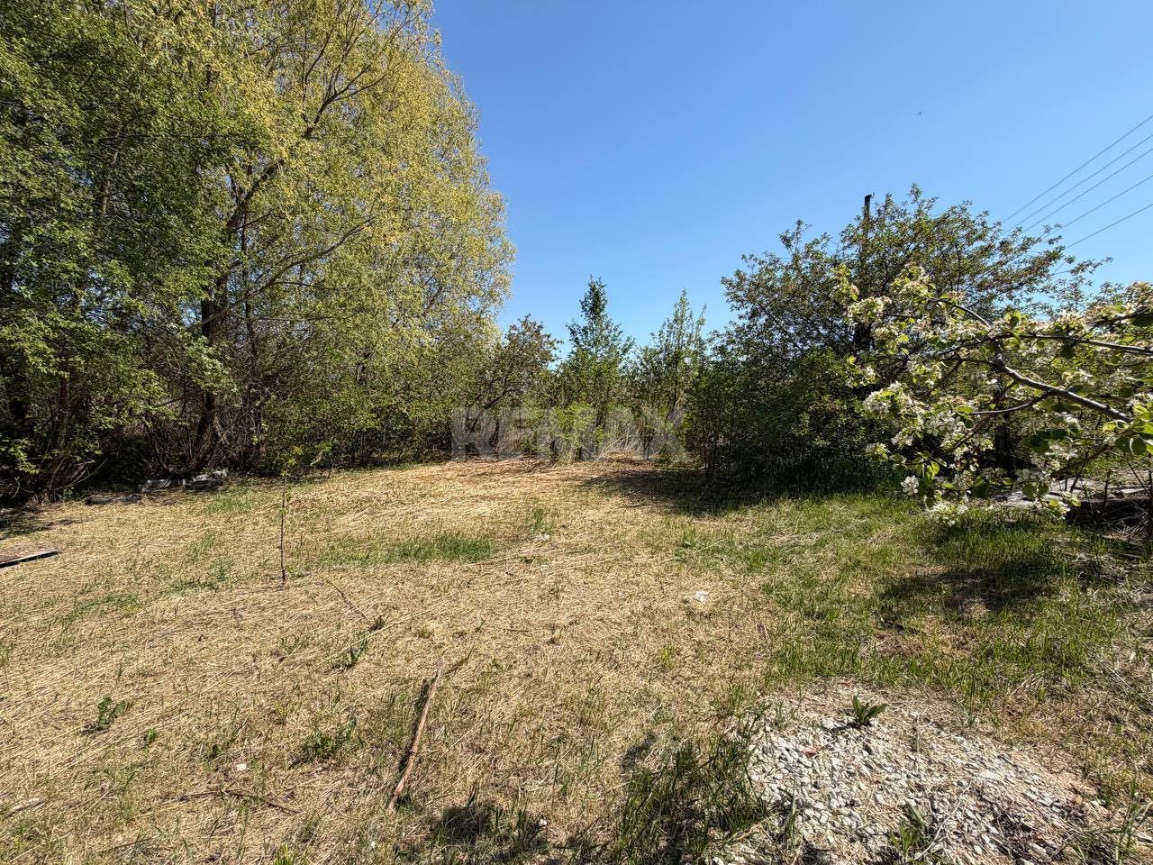 Lot Pomicol Truseni I.P. Alfa-Agro - imaginea 7