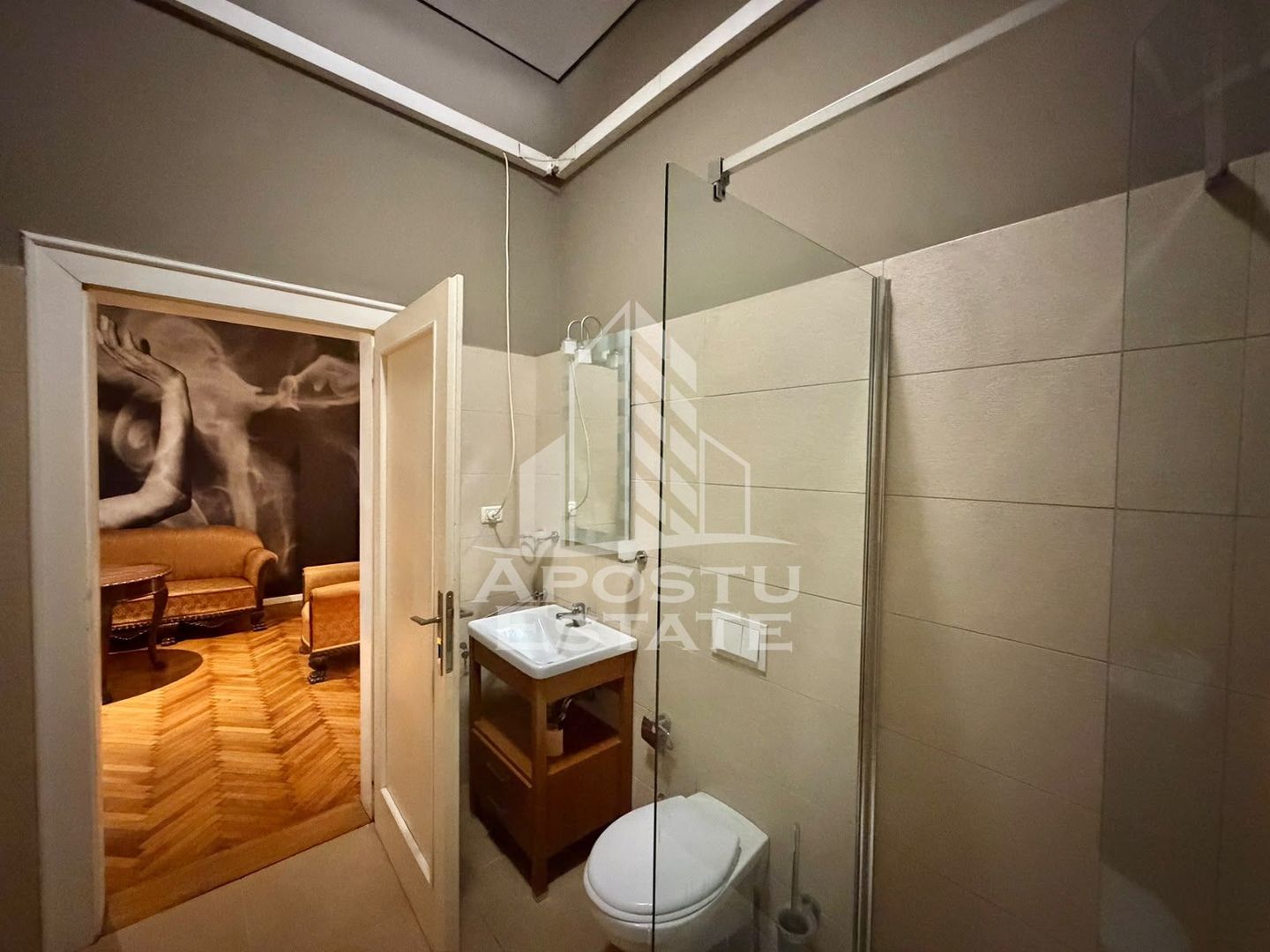 Apartament cu 4 camere de inchiriat, petfriendly, Centru,Timisoara - imaginea 11