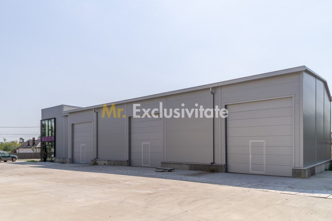 Inchiriere hala noua zona Bascov la DN 7C - imaginea 11