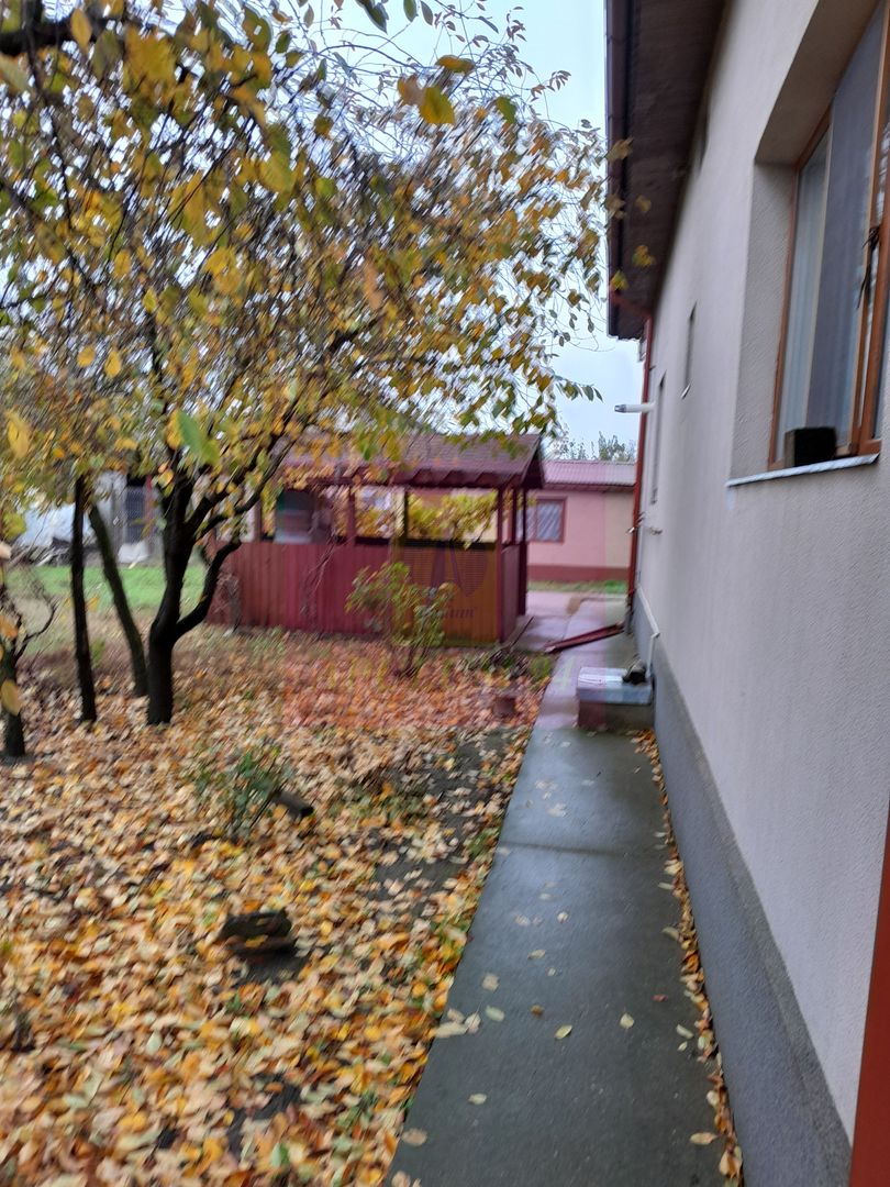 ILFOV - SE VINDE CASA IN ISLAZ / COM. BRANESTI - imaginea 47