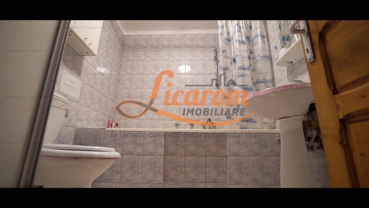 Oferta Conac boieresc P+M,teren 20400 mp - imaginea 16