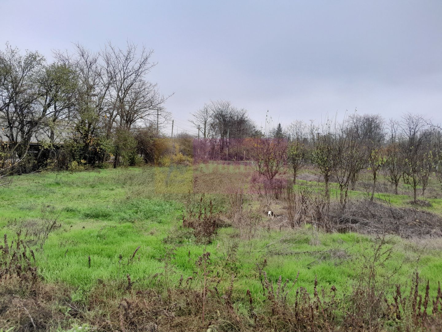 De vanzare casa +teren 16k mp in BARCANESTI / IL
