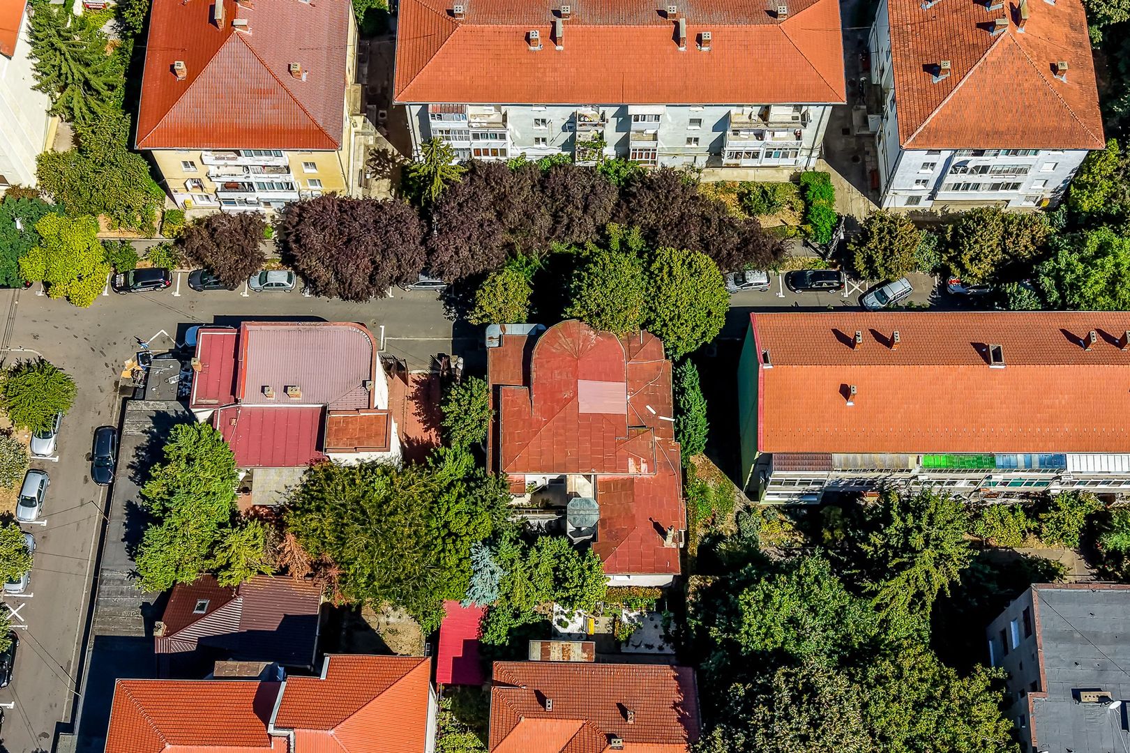 Imagine 21 - Vilă de excepție în Podgoria, Arad, locație, arhitectură și caracter.