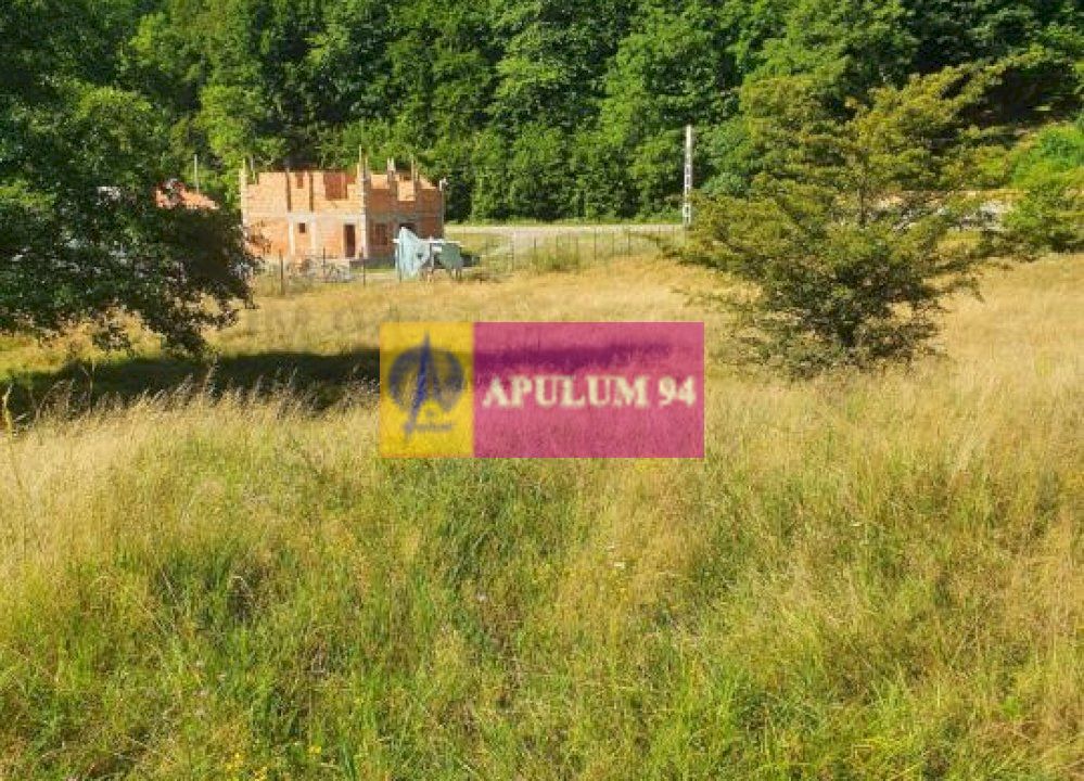 Teren Județul Vâlcea - Brezoi, Valea lui Stan