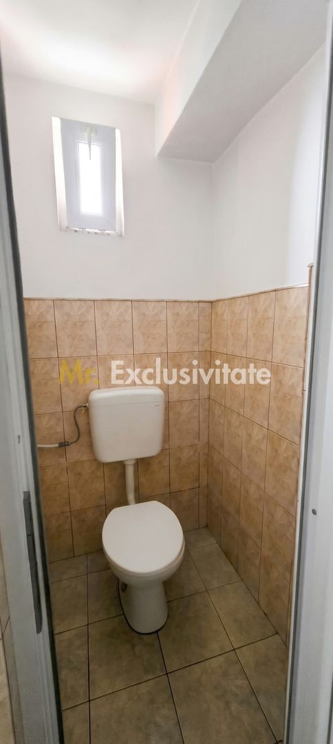 De Vânzare Casă P+M str Vulturului SM - imaginea 11