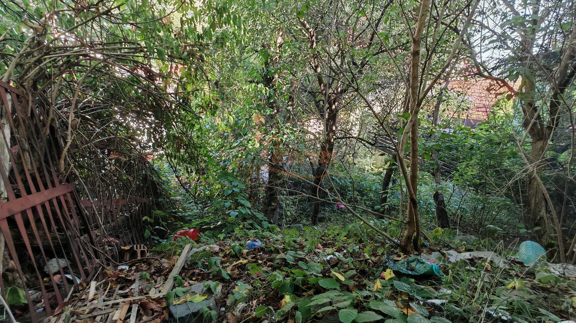 Casa singur in curte zona ZONA ISTORICA langa Seminarul Teologic - imaginea 8