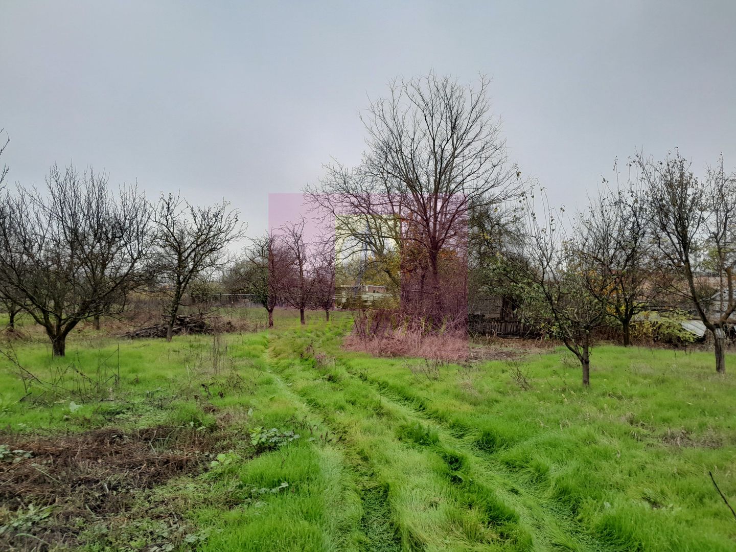 BARCANESTI (IL) - SE VINDE CASA + TEREN 16K MP - imaginea 52