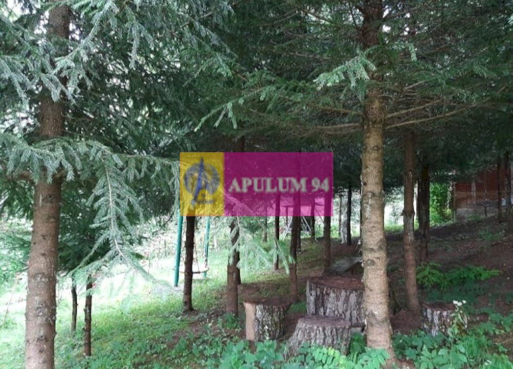 Casă de vânzare în Provița de Jos