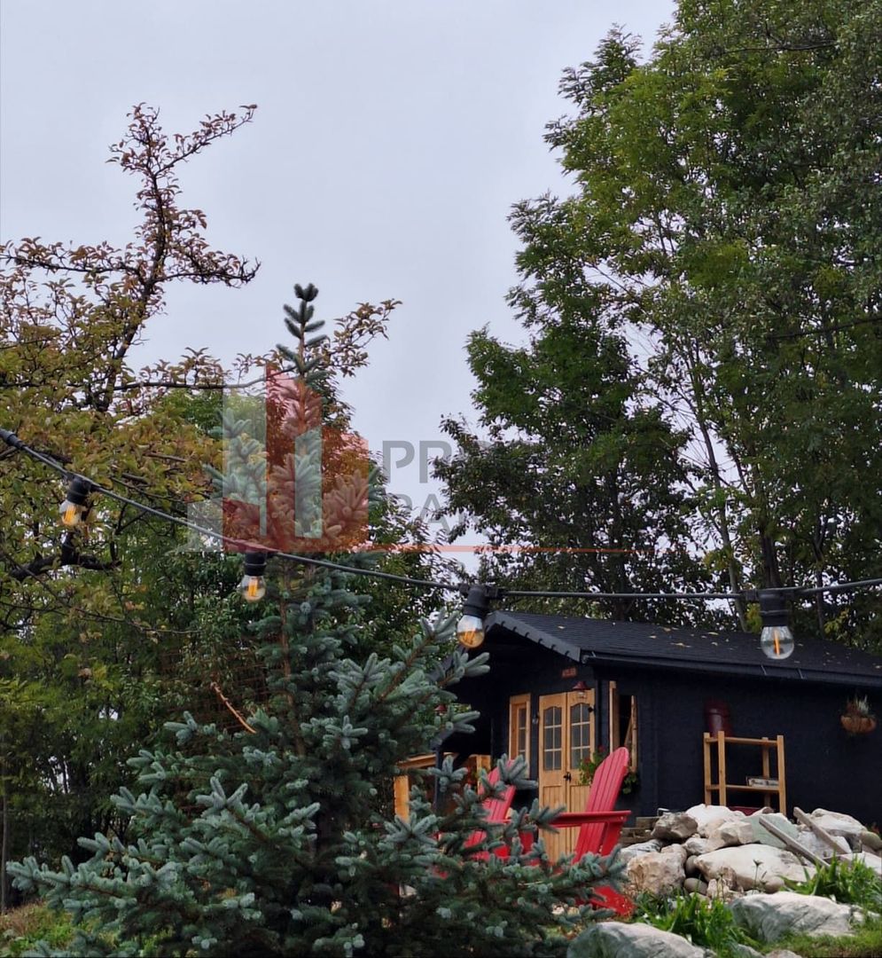 2  A-Frame | Bran Sohodol| 2 cabane | Teren 3.812 mp | Operațional | - imaginea 13