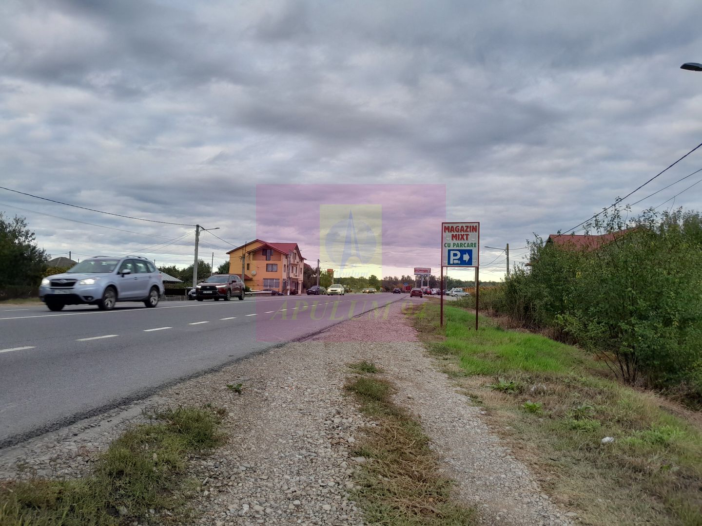 COSERENI (IL) - SE VINDE TEREN 2000 MP LA SOS BUCURESTI -URZICENI - imaginea 8