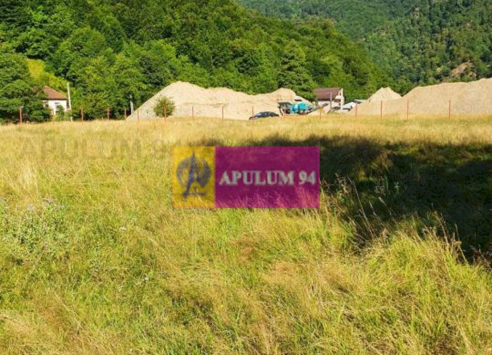 Teren Județul Vâlcea - Brezoi, Valea lui Stan