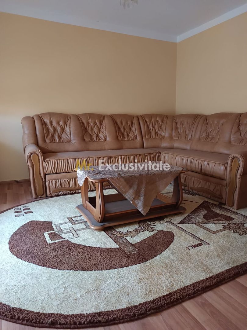 Vilă P+E de vânzare în Valea lui Mihai – 233 mp, teren 733 mp - imaginea 29