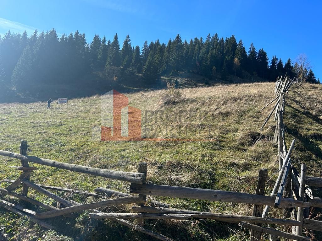 Teren Fundatica intravilan 4500 mp - imaginea 11