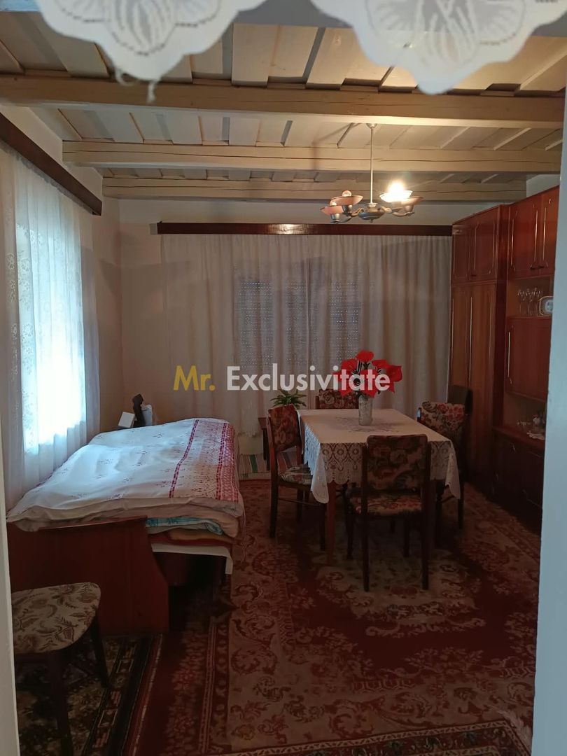 Casă tradițională cu teren de 4.400 mp în Vașad - imaginea 16