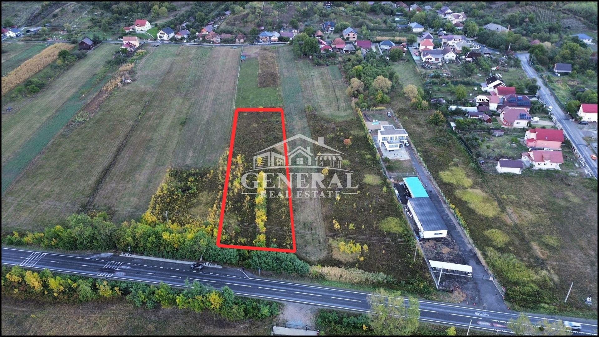 Teren de vanzare 4.000m2 in Cicarlau la Drum European E58 BM-SM KM-15 - imaginea 2